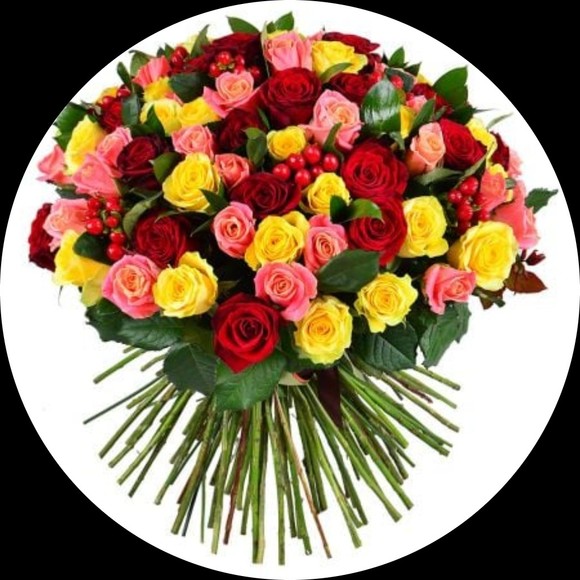 roseresidence